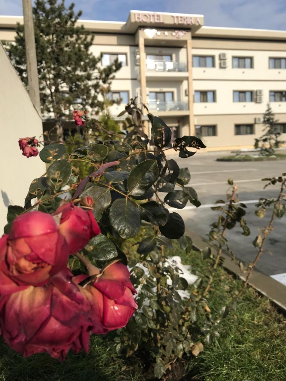 Hotel Terra Iasi 3*